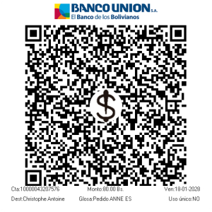 QR Pago